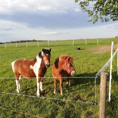 Bania Na Czasie * Szyldak