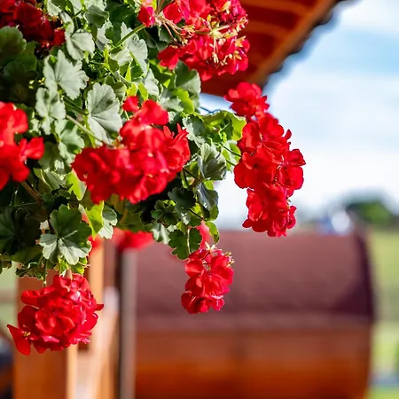 Сasa de vacaciones Bania Na Czasie