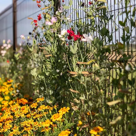 Сasa de vacaciones Bania Na Czasie